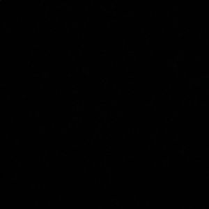 Meet your Posher, Ant